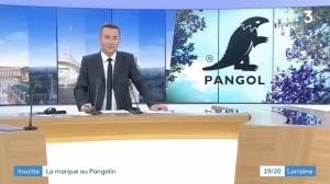 19/20 France 3 Lorraine - Pangol : La marque au Pangolin